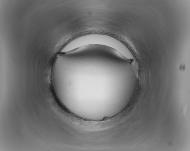 X0000089930023200707271807