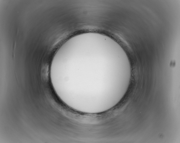 X0000089930024200707271807