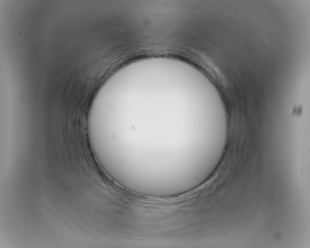 X0000089930025200707271807