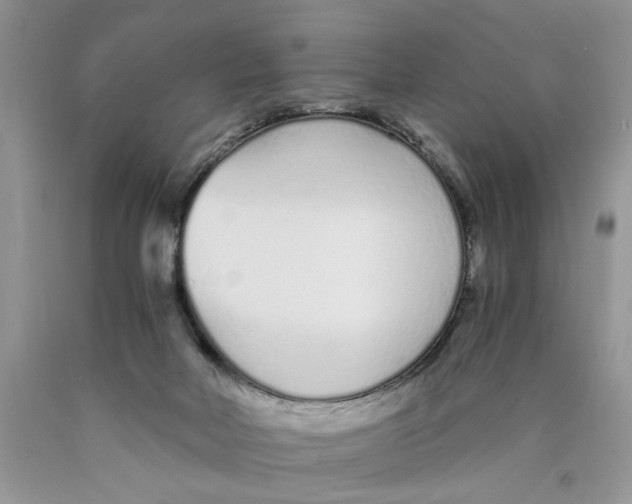 X0000089930026200707271807