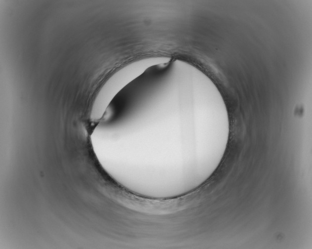 X0000089930027200707271807