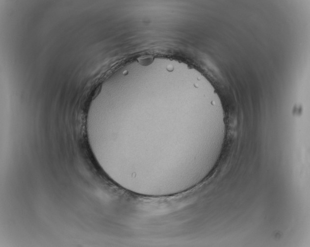 X0000089930029200707271807