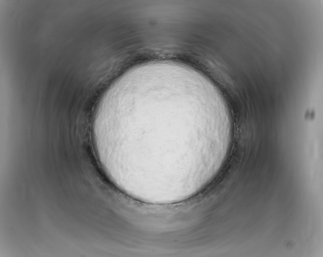 X0000089930030200707271807