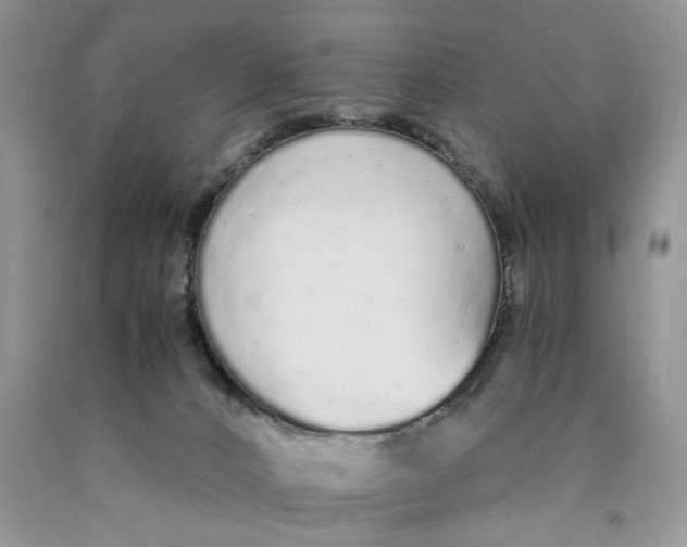 X0000089930032200707271807