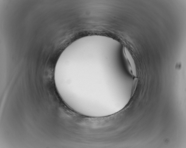 X0000089930033200707271807