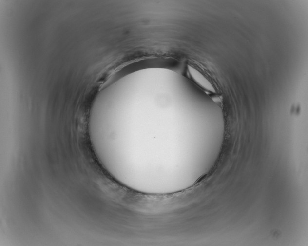 X0000089930037200707271807