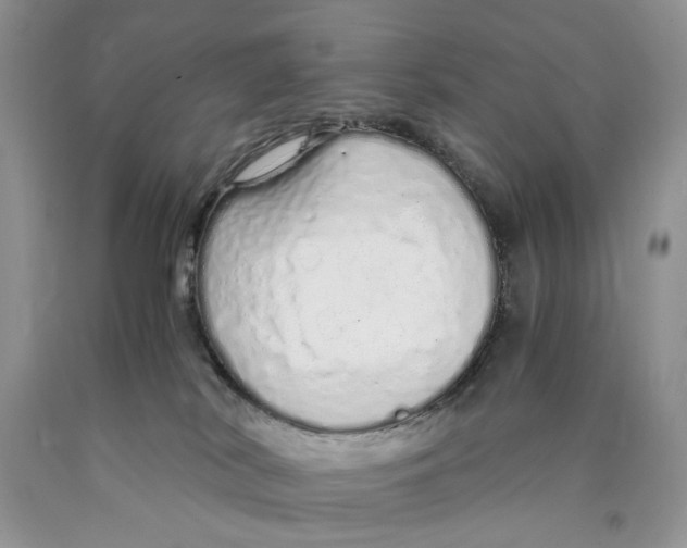 X0000089930038200707271806