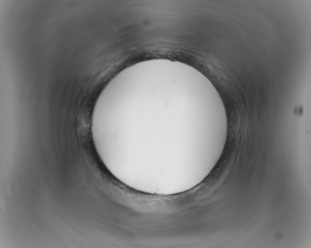 X0000089930040200707271806