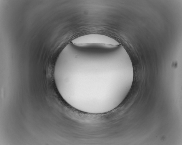 X0000089930044200707271806