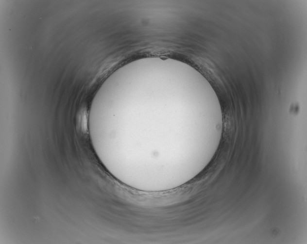 X0000089930046200707271806