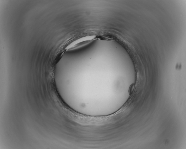 X0000089930048200707271806