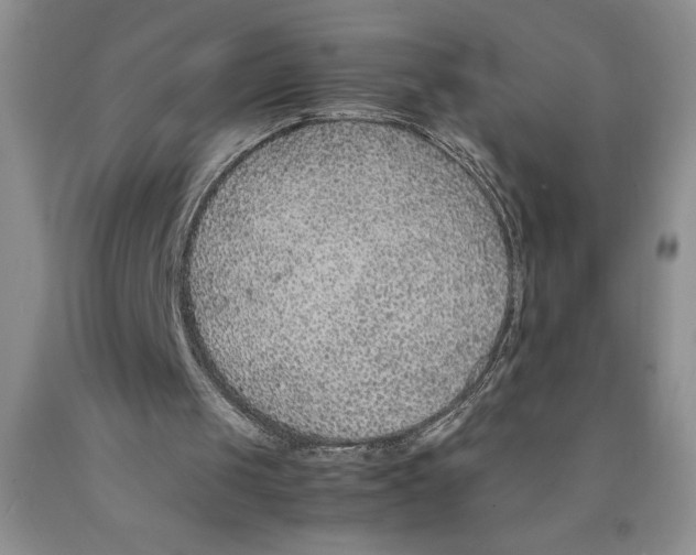 X0000089930049200707271806