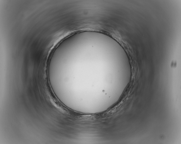 X0000089930050200707271806