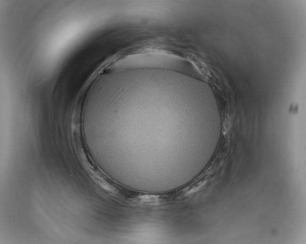 X0000089930052200707271806