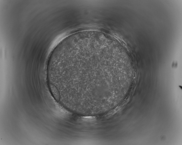 X0000089930053200707271806