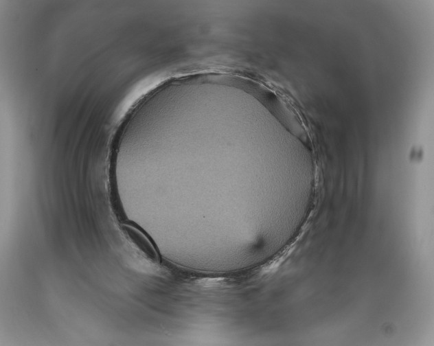 X0000089930054200707271806