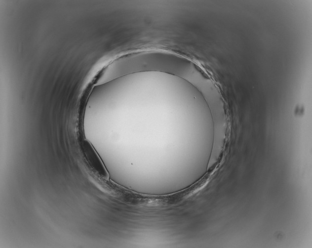 X0000089930056200707271806