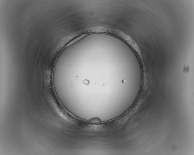 X0000089930057200707271806