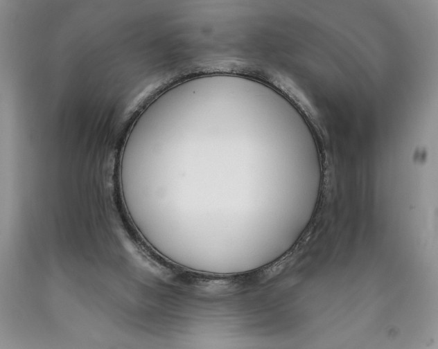 X0000089930058200707271806