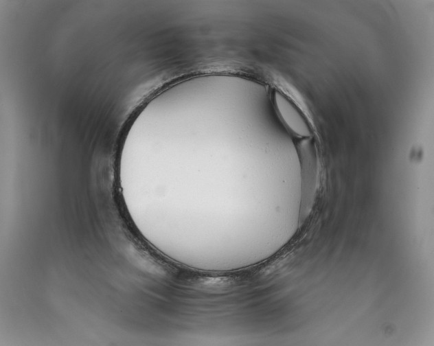 X0000089930059200707271806