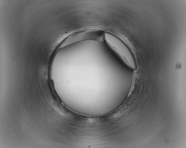 X0000089930060200707271806