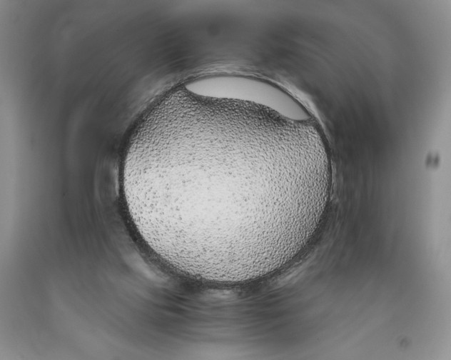 X0000089930061200707271806