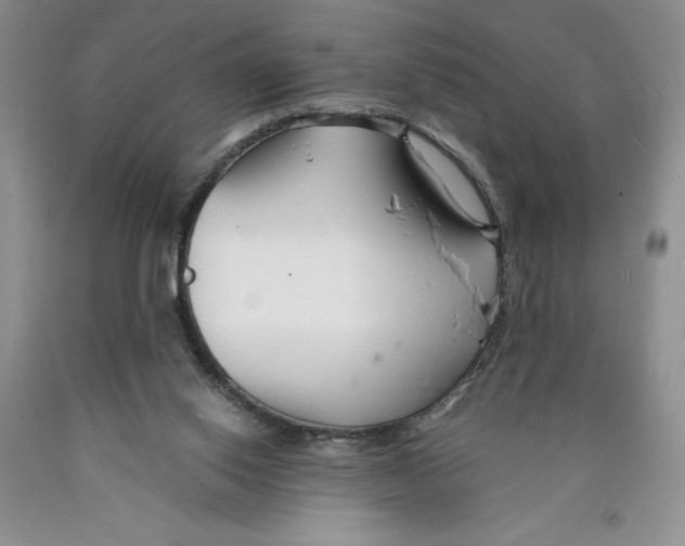 X0000089930062200707271806