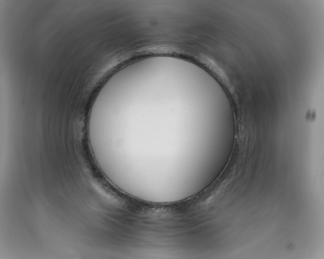 X0000089930063200707271806