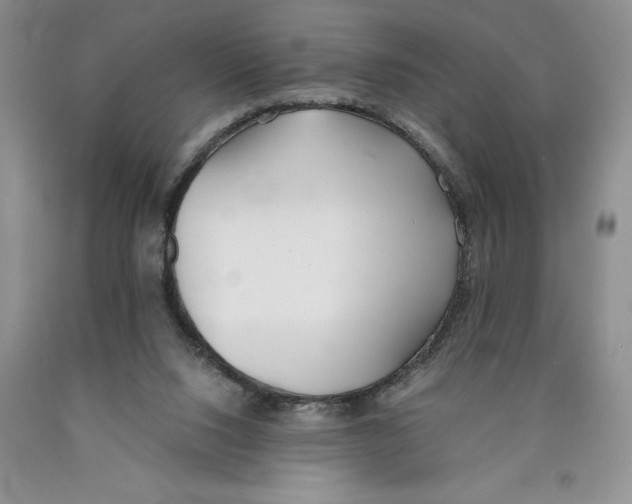 X0000089930064200707271806