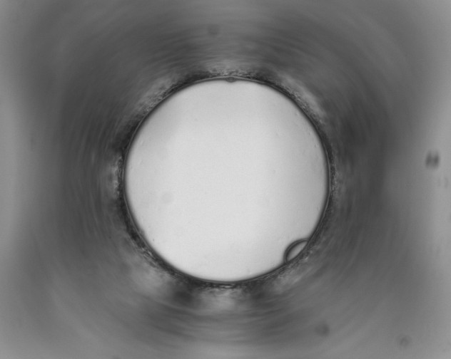 X0000089930065200707271806