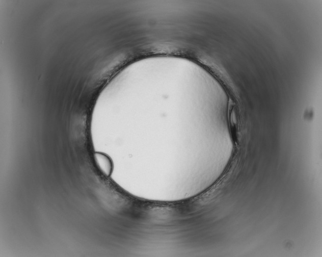 X0000089930066200707271806