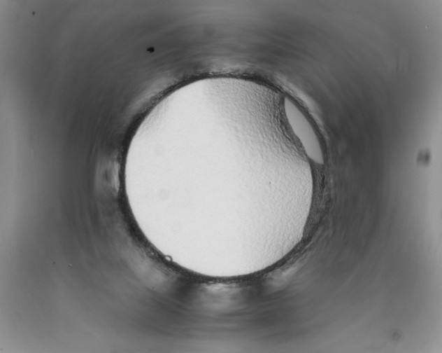 X0000089930067200707271806