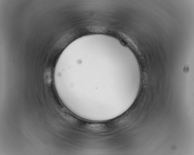 X0000089930069200707271806