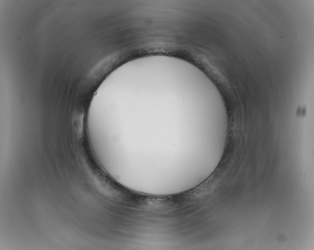 X0000089930070200707271806