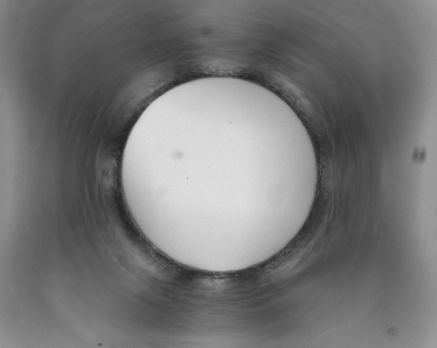 X0000089930071200707271806