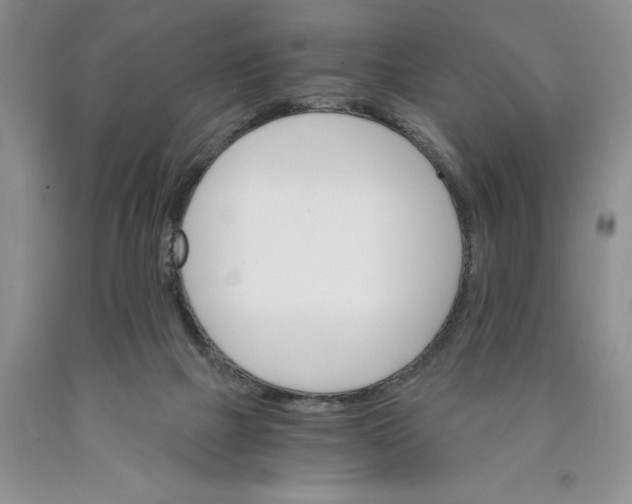 X0000089930073200707271806