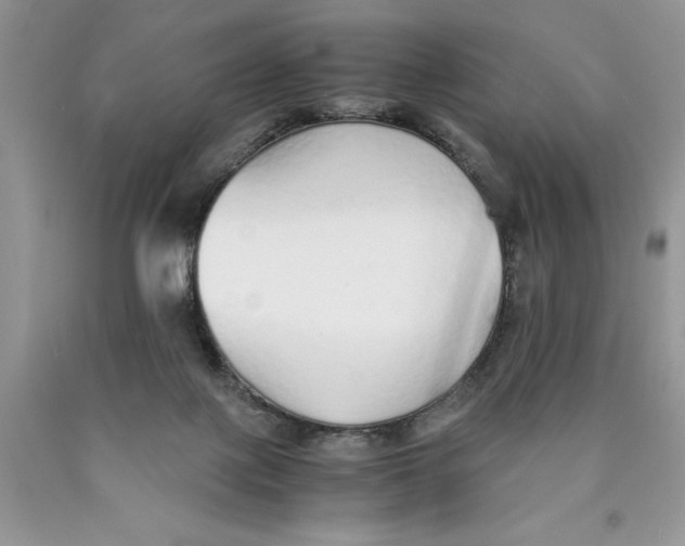 X0000089930075200707271806