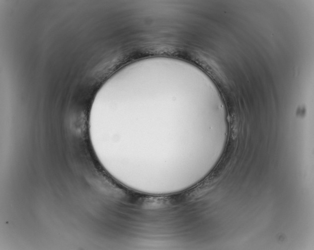 X0000089930077200707271806