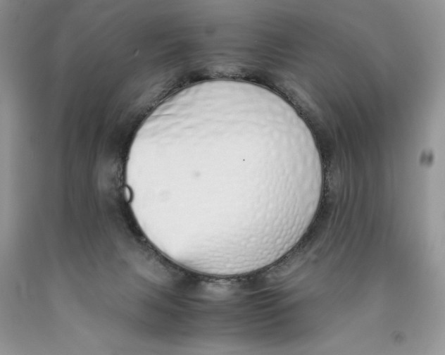 X0000089930079200707271806