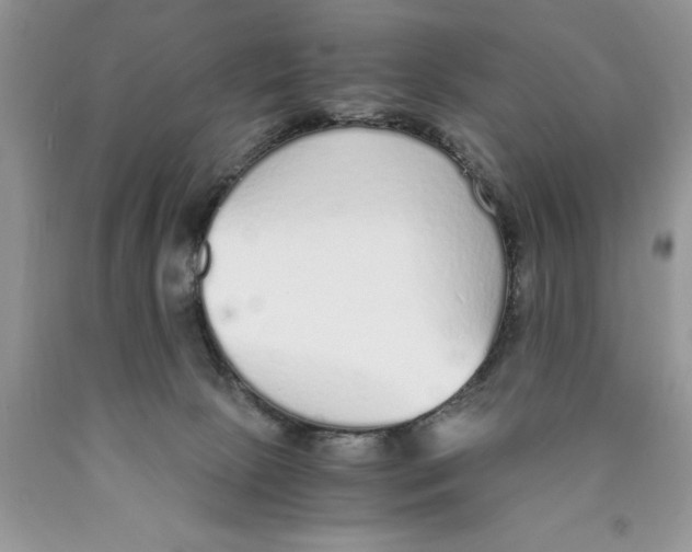 X0000089930081200707271806