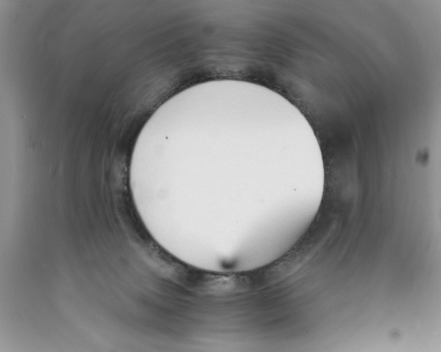 X0000089930083200707271806