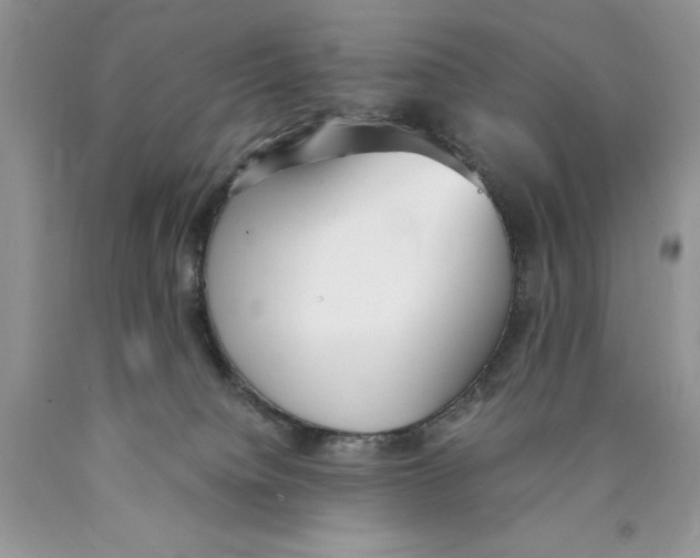 X0000089930084200707271806