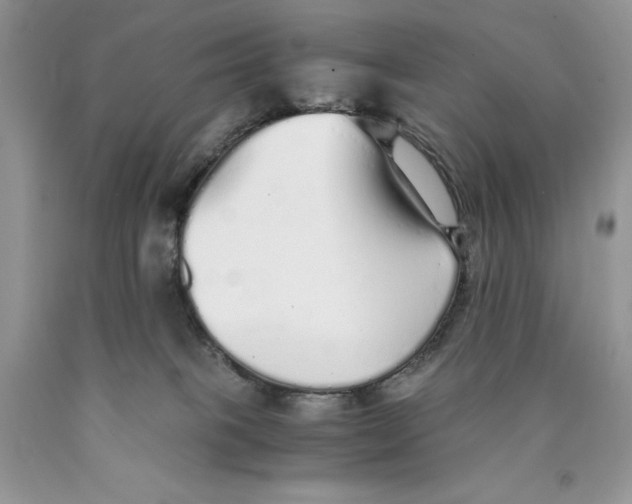 X0000089930085200707271806