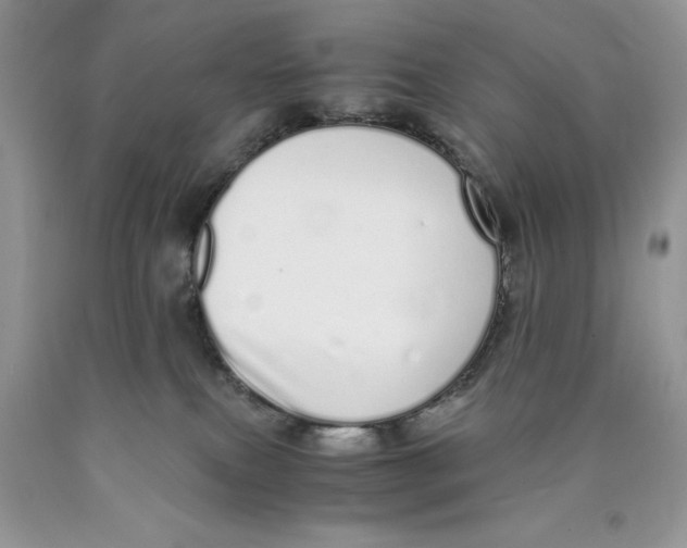 X0000089930087200707271806