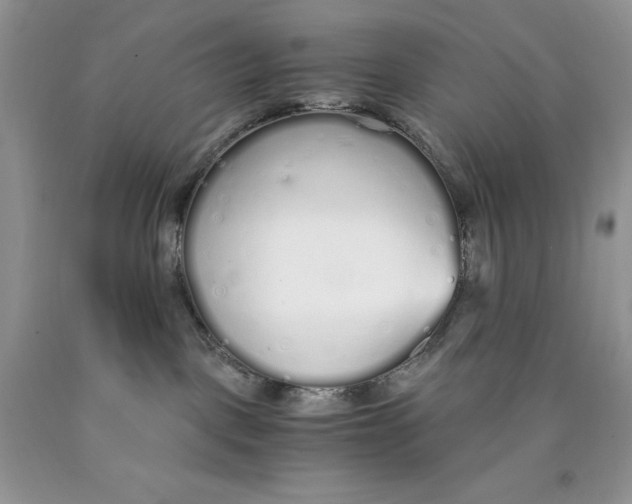 X0000089930093200707271806