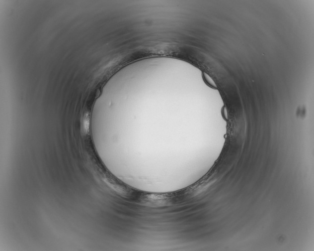 X0000089930095200707271806