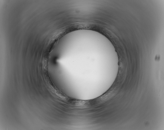 X0000089930096200707271806