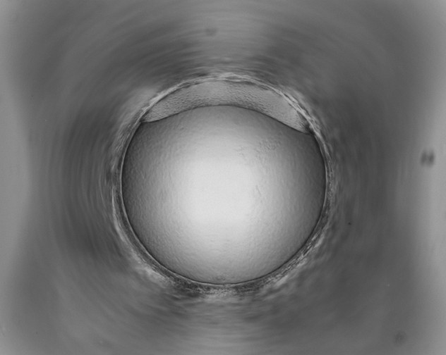 X0000089930097200707271806