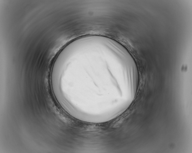 X0000089930098200707271806