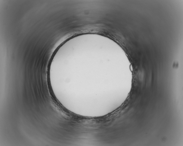 X0000089930100200707271806